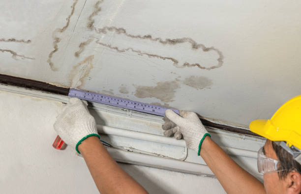 Reliable Mold Remediation contractor in Dundee, OR by Water Damage Irwin